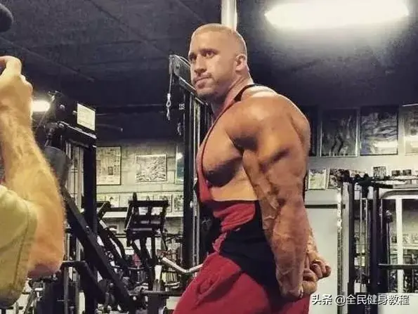 健身吃肌酸练出的肌肉与吃蛋白粉练出的肌肉 有什么不同？