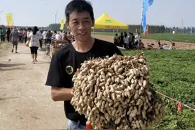 老农说只要你按照以下四种方法去管理花生，不用愁花生没有产量图片