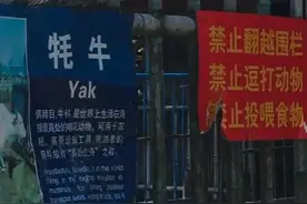 “牦”这个字为何孩子们异口同声念「hao」图片