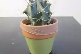 女生夏季破了的丝袜千万别扔，这15种用途，省钱又方便！图片