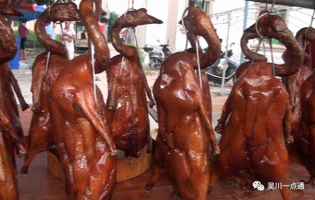 吴川有花胶吗 2026年吴川市花