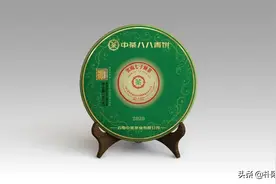 一世青缘 | 中茶翡翠八八青饼冲泡指南——予君同享岁月臻味图片