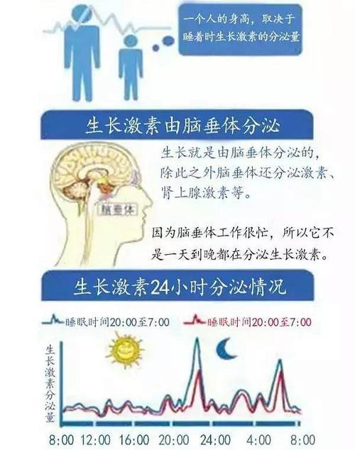 营养功能成分每日一讲：γ-氨基丁酸