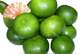 真怀念啊，酸甜酸甜的绿皮橘子图片