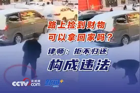 路上捡到财物拿回家，违法吗？图片