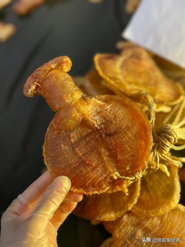 鱼胶如何食用方法 2025年鱼胶如何食用方法最好 鱼胶如何食用方法 2025年鱼胶如何食用方法最好