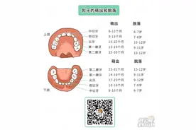 关于孩子换牙的8大常见问题！90%家长都在找答案图片