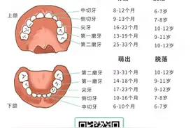 关于孩子换牙的8大常见问题！90%家长都在找答案图片