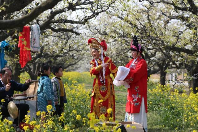 丰县梨花节 丰县梨花节是什么时间2022年(图19) 丰县梨花节 丰县梨花节是什么时间2022年(图19)