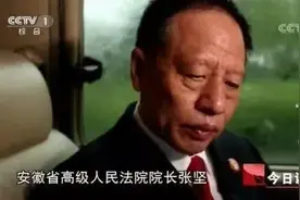 动用货车拉收藏品、深夜11点在留置书上签字的“老虎”获刑图片