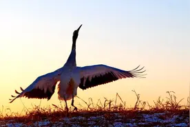 超级实用的七字顺口溜村规民约来了，赶紧收藏使用吧图片