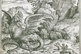 男变女，女变男？不是我说，动物性转也太容易了吧图片