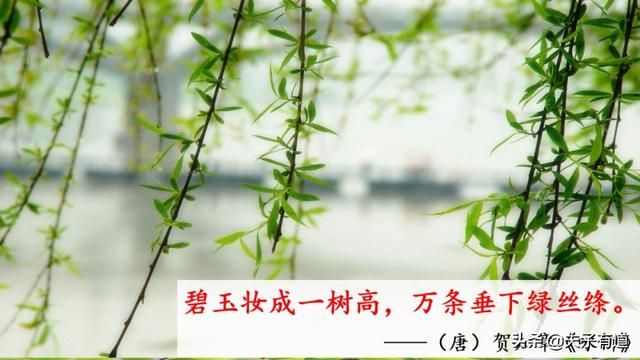 部编版一年级下册语文《春夏秋冬》知识点+图文讲解，给孩子预习