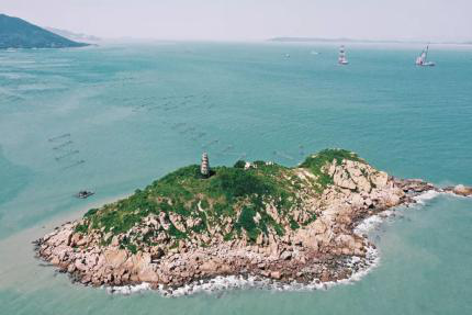 劣质花胶图片 2025年劣质花胶图片高清