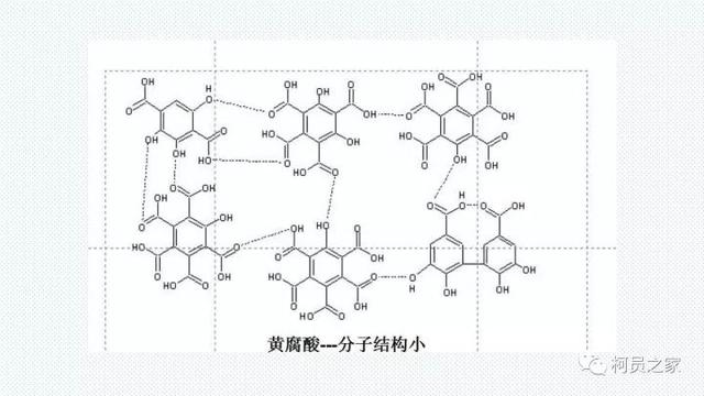 氨基酸、腐殖酸、黄腐酸都是什么东东？有啥用？