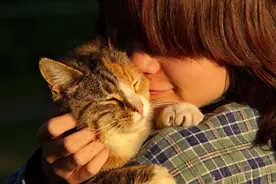 猫和老鼠手拉手，一起面对实验室里的科研狗图片