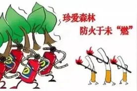 【火灾防控科普知识】请牢记这些森林防火知识！图片
