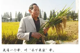 袁隆平为什么值得怀念？图片