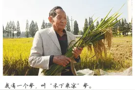 袁隆平为什么值得怀念？图片