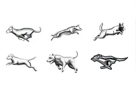 哈弗大狗车标出炉，排第一的是狗头保命，你觉得哪个更好看？图片