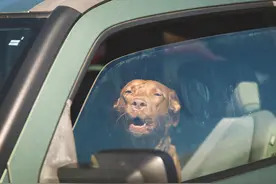 超级白材料问世，反射95%阳光，夏天让车内温度比太阳下还低图片