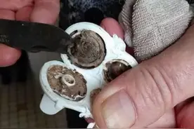 宝宝杯子有多脏？拧开后宝妈发愁，这些婴儿用品里全是“脏东西”图片