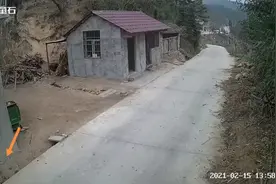 监控拍下动物界的“李焕英”，老鹰抓走小鸡，鸡妈妈急得飞了起来图片