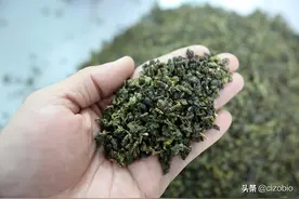 这几种茶叶与铁观音非常相似 你真的买对了吗？图片