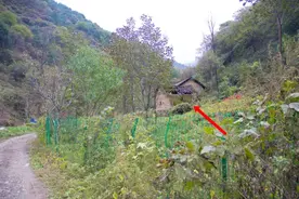 秦岭红岩沟中，像这样无人居住的老房子不止一处，实际上到处都是图片