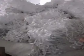 本周无纺布采购产品库存企业信息大赠送图片