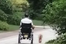 别人飙车他们飙轮椅！白发一族的“敞篷奔驰”能有多野？图片