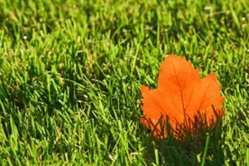 恭喜那些不换微信头像的人图片