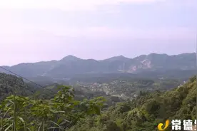 桃源这个村风景优美，还种植脆蜜桃、核桃、猕猴桃，吸引了不少游客图片