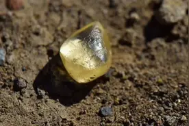 女子在公园挖到4.38克拉钻石！园方：是你的了图片