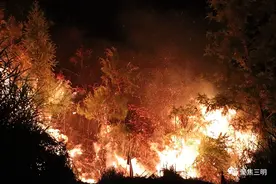 大田森林火灾已成功扑灭！这些森林火灾案例警示我们：森林防火时刻牢记！图片
