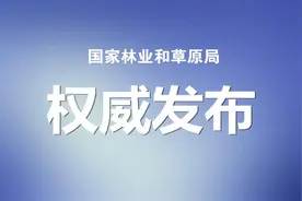 国家林草局：批复了12个国家级森林公园总体规划图片