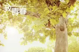 孩子早恋，家长怎么办？图片