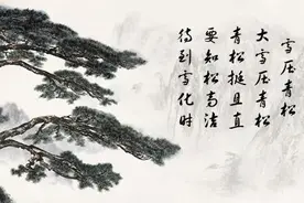 陈毅要打倒“陈毅主义”，调解朱毛矛盾，陈毅是如何顾全大局的图片