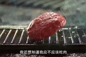 BBC纪录片《我应该吃肉吗》：揭秘肉制品对健康的影响图片