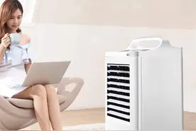 买回家才知道，这5件网红家电是真的“鸡肋”，妥妥的在交智商税图片