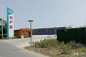 日期已定！阜阳老瑶海水产市场要搬了，千万别跑错了地方图片