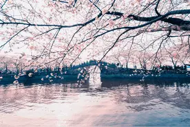 女人彻底死心时的表现：三个不图片