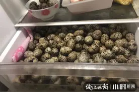 掏了555枚野鸟蛋，浙江三女子被刑拘！专家心碎：都很珍贵，这下全完了图片