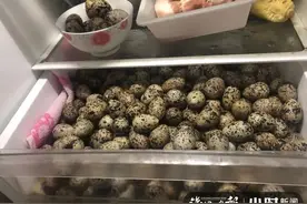 掏了555枚野鸟蛋，浙江三女子被刑拘！专家心碎：都很珍贵，这下全完了图片
