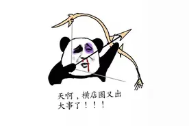 说说横店自媒体圈刚发生的稀奇古怪事和主播玩的各种套路图片