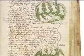 600年前的一部神秘古书，至今无人破解！一度被认为是外星人所为图片