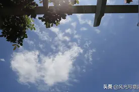 爱在夏日旅程 你是天边的一片云 悄悄拿走我的心图片
