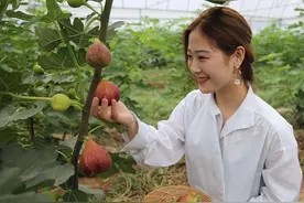 秋天扦插正当时，这“18种花”不用出钱买，折根枝子回来就能种图片