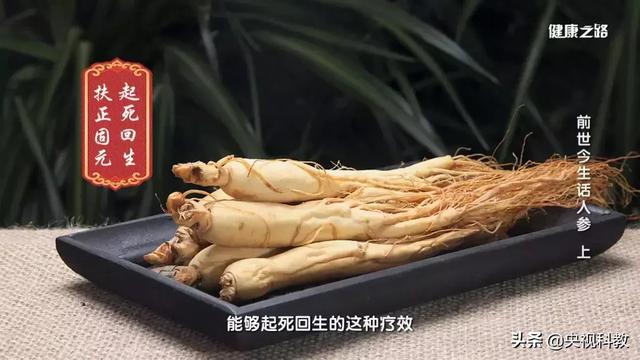 人参多长时间吃一次比较好 人参要吃多长时间,才会有效果?