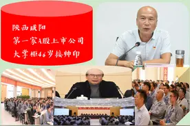 429.56亿！陕西咸阳第一家A股上市公司，大掌柜46岁接“帅印”图片